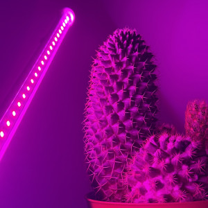 Фітосвітильник для рослин 9Вт 5В SMD2835 IP20 повного спектру 0.5м з USB від павербанка