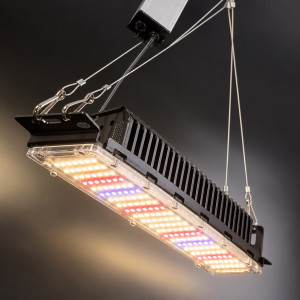 Led фітосвітильник 50Вт 300×70мм full spectrum для розсади, квітів та рослин