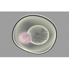 Led люстра 115W 3000К–6000К IP20 з 3 режимами освітлення, без пульта