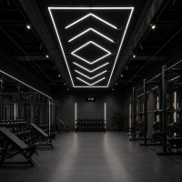 LED світильник Arrows 430Вт для комерційних приміщень 48000 Лм 6500K холодн...