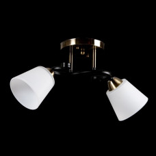 Люстра на 2 лампи Е27 з матовим склом, металевим каркасом