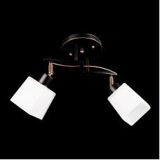 Люстра на стелю модерн чорна з золотом 2 плафони E27