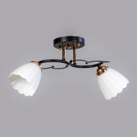 Люстра потолочная на 2 плафона под лампу Е27 IP20