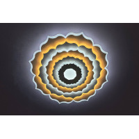 Потолочный LED светильник цветок 150W димер 3000-6000К с пультом