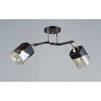 Современная люстра с регулируемыми плафонами 2 источника света цоколь Е27