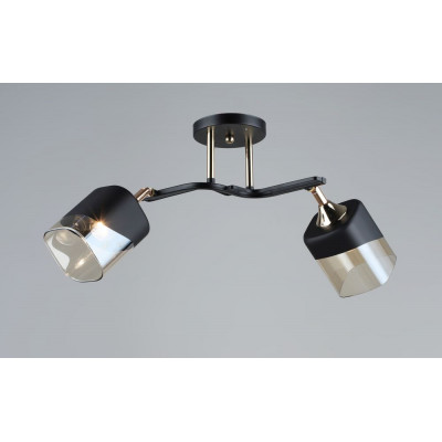 Сучасна люстра з регульованими плафонами 2 джерела світла цоколь Е27