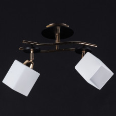 Світильник стельовий з 2 поворотними плафонами цоколь Е27 золото