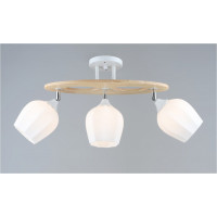 Світильник з регульованим напрямком світла метал/дерево IP20 цоколь Е27