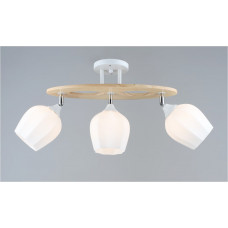 Світильник з регульованим напрямком світла метал/дерево IP20 цоколь Е27